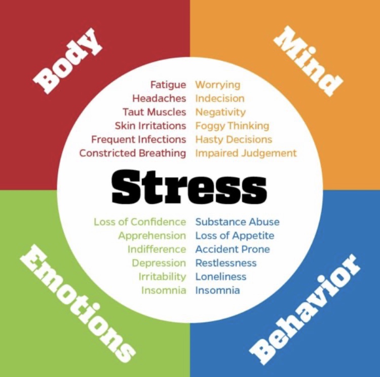 The effects of stress